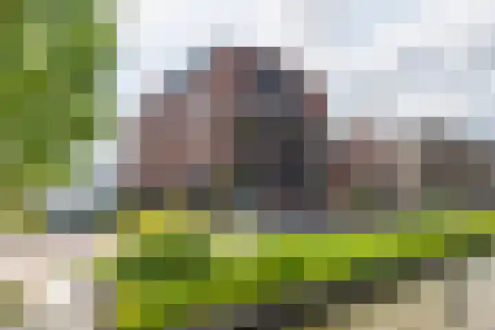 De Stelling 31 Muiden thumbnail 33
