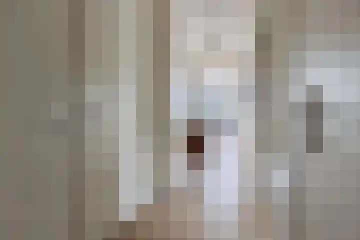 De Stelling 31 Muiden thumbnail 7