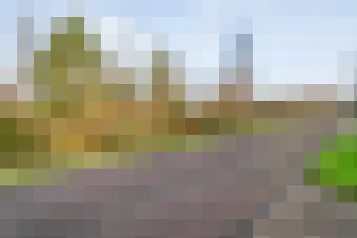 De Stelling 34 Noordwolde thumbnail 12