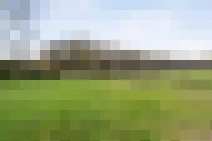 De Stelling 34 Noordwolde thumbnail 57