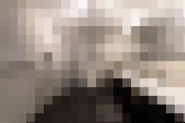 De Stelling 54 Muiden thumbnail 11