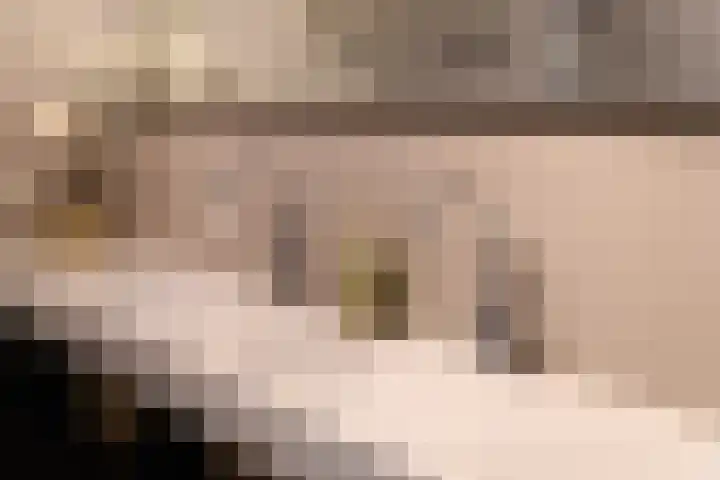 De Stelling 54 Muiden thumbnail 12