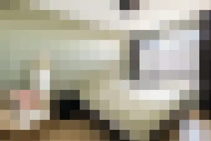 De Stelling 54 Muiden thumbnail 13