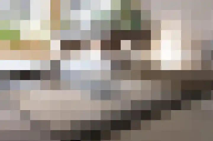 De Stelling 54 Muiden thumbnail 19