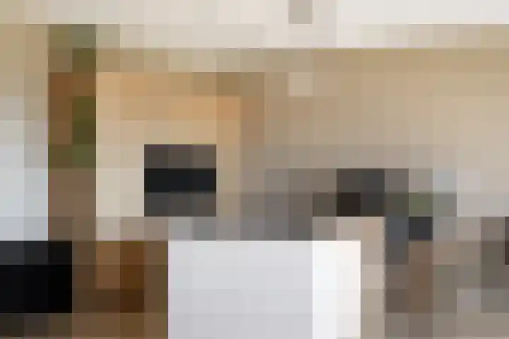 De Stelling 54 Muiden thumbnail 20