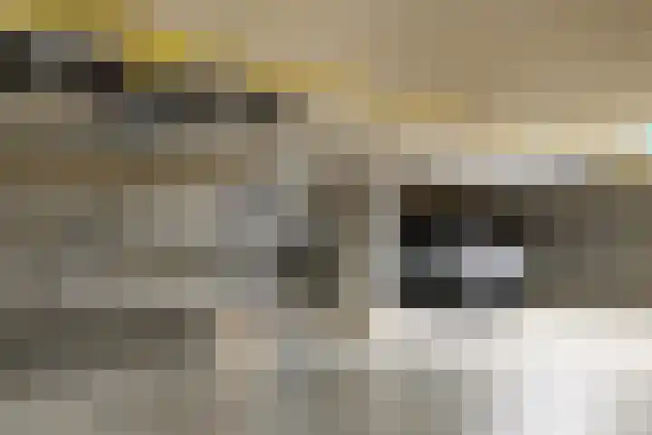 De Stelling 54 Muiden thumbnail 6