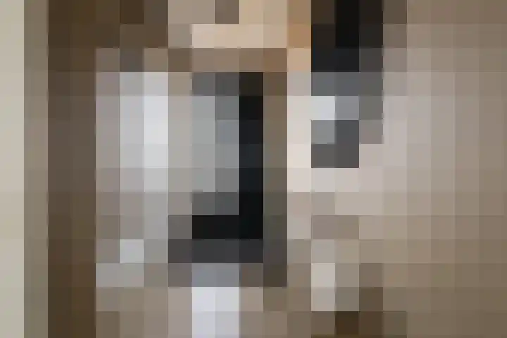De Stelling 54 Muiden thumbnail 8