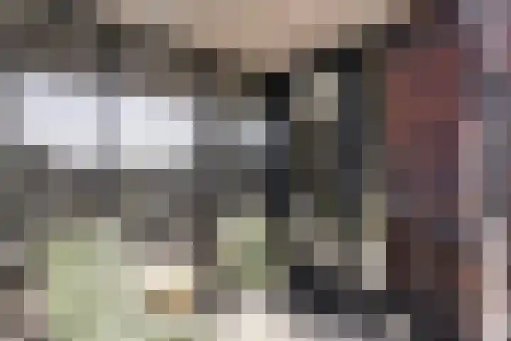 De Stelling 56 Muiden thumbnail 16
