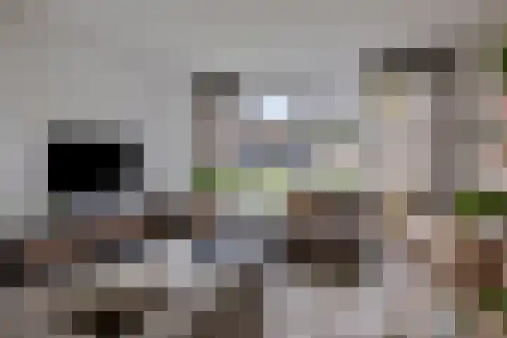De Stelling 7 Muiden thumbnail 16