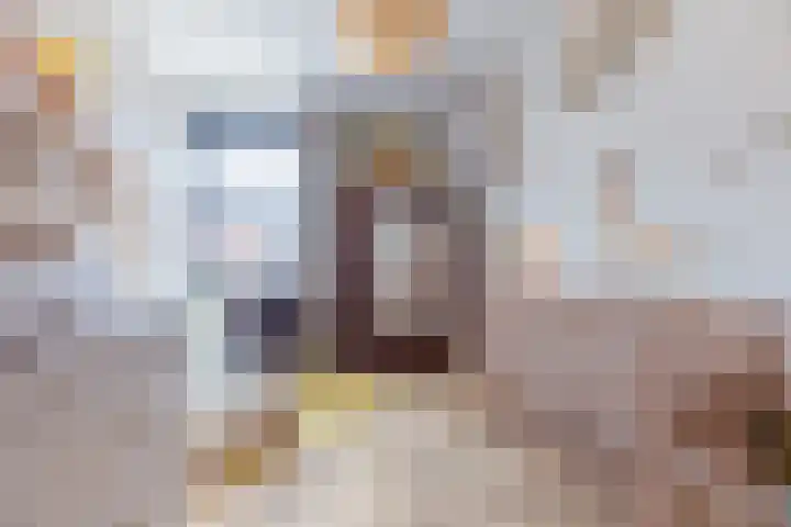 De Stelling 9 Muiden thumbnail 18