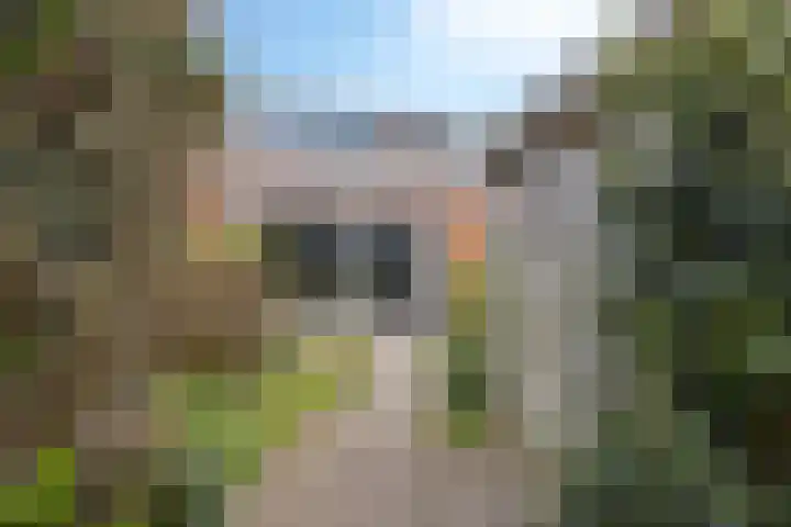 De Stelp 11 Amersfoort thumbnail 23