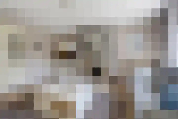 De Stelp 14 Amersfoort thumbnail 5