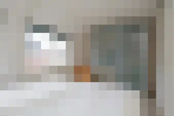 De Stern 16 Almelo thumbnail 13