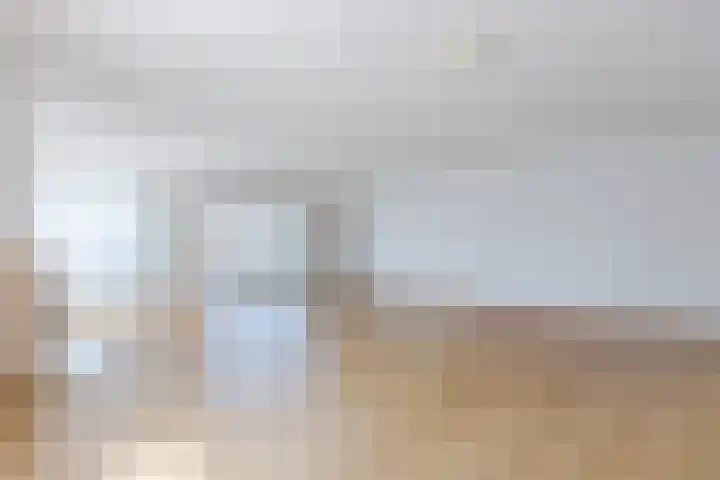 De Steven 35 Zaandam thumbnail 12