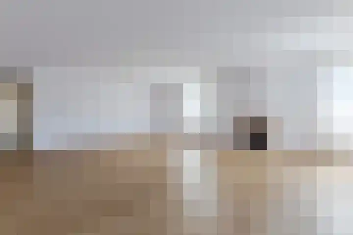 De Steven 35 Zaandam thumbnail 13