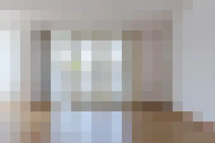 De Steven 35 Zaandam thumbnail 15
