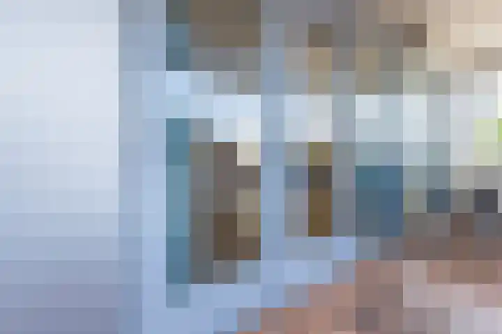 De Steven 35 Zaandam thumbnail 17