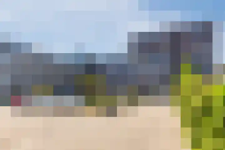 De Steven 35 Zaandam thumbnail 6