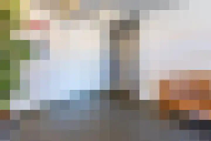 De Steven 35 Zaandam thumbnail 8