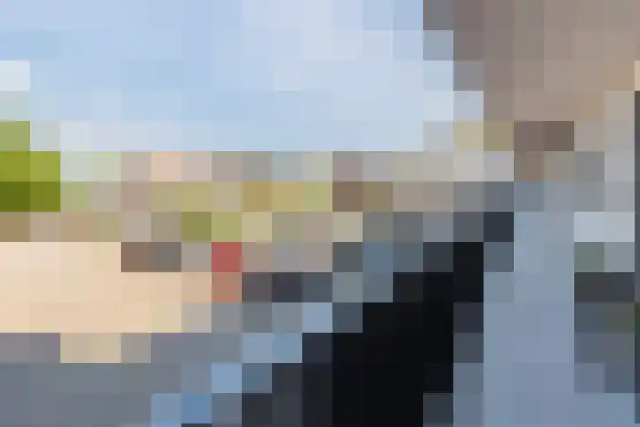 De Steven 35 Zaandam thumbnail 9
