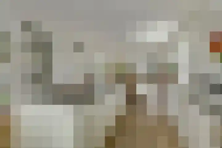 De Stijl 2 Dronten thumbnail 14