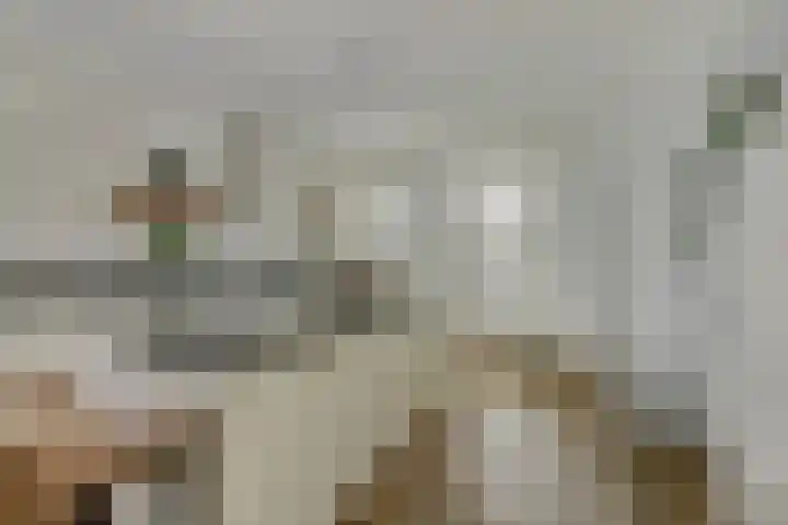 De Stijl 2 Dronten thumbnail 16