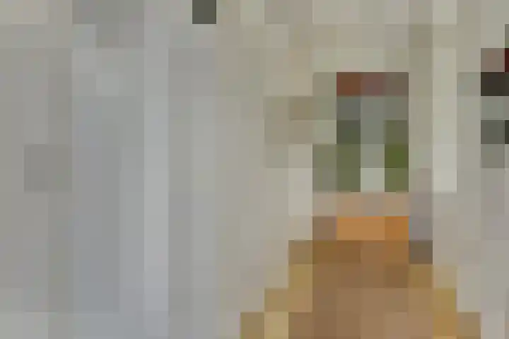 De Stijl 2 Dronten thumbnail 18
