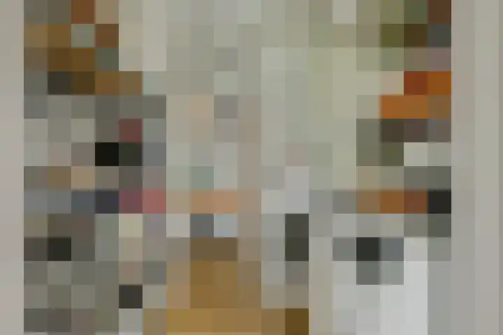 De Stijl 2 Dronten thumbnail 20