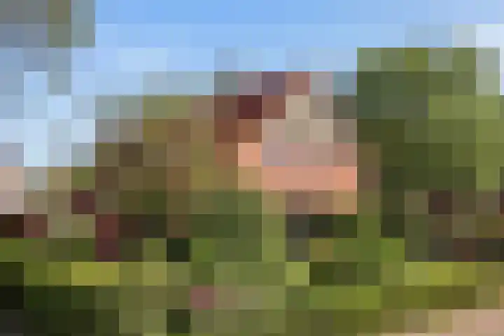 De Stijl 2 Dronten thumbnail 22