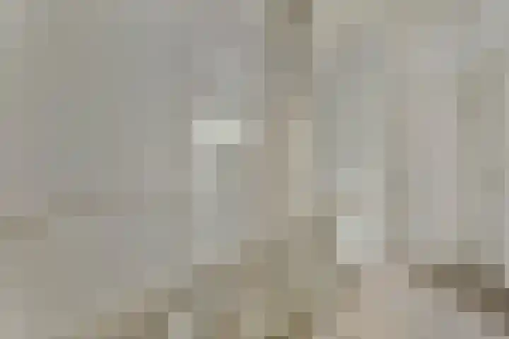 De Stijl 2 Dronten thumbnail 22