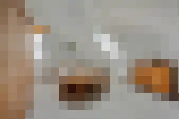 De Stijl 2 Dronten thumbnail 23