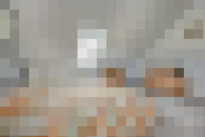 De Stijl 2 Dronten thumbnail 24