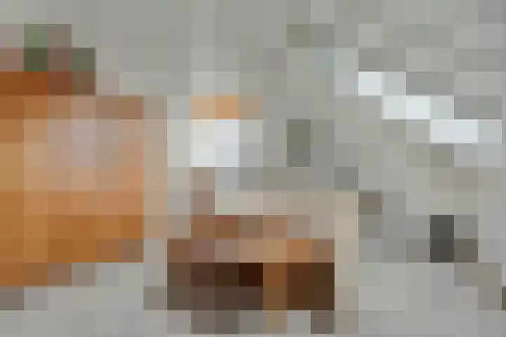 De Stijl 2 Dronten thumbnail 25