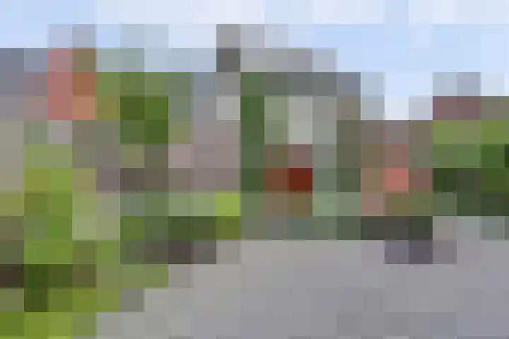 De Stijl 2 Dronten foto 3