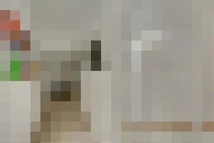 De Stijl 2 Dronten thumbnail 31