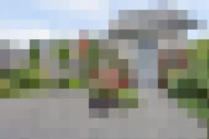 De Stijl 2 Dronten thumbnail 32