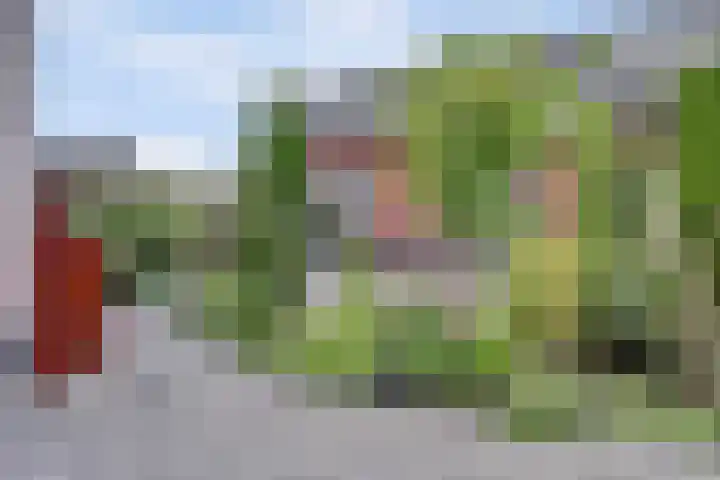 De Stijl 2 Dronten thumbnail 34
