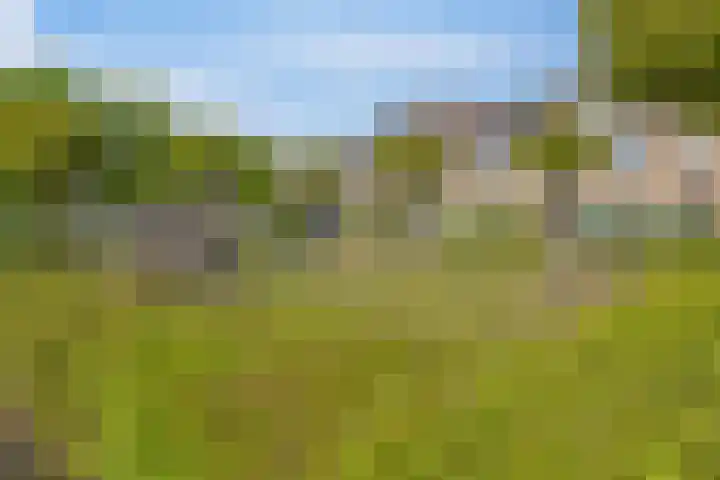 De Stijl 2 Dronten thumbnail 4