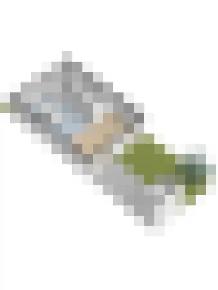 De Stijl 2 Dronten thumbnail 43