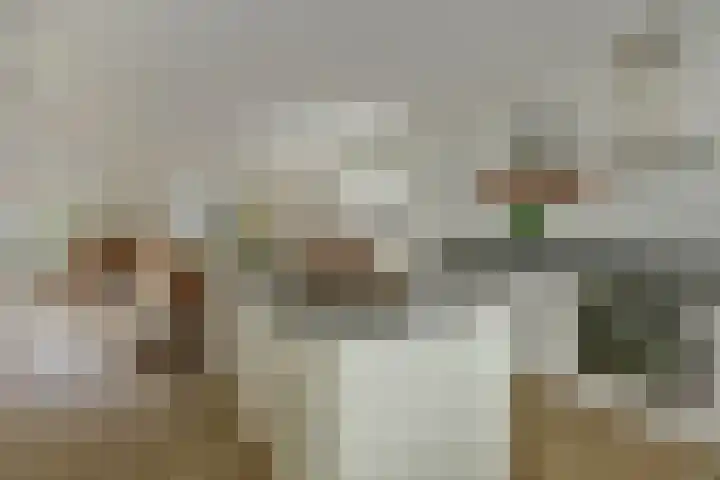 De Stijl 2 Dronten thumbnail 5