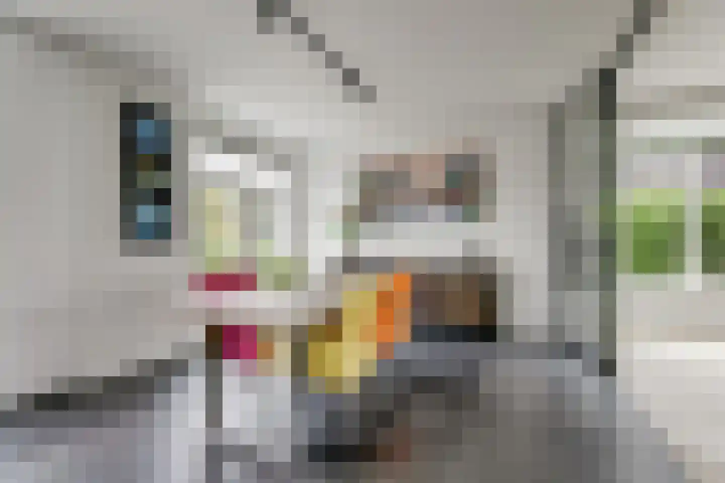 De Stijl 9 Dronten thumbnail 17