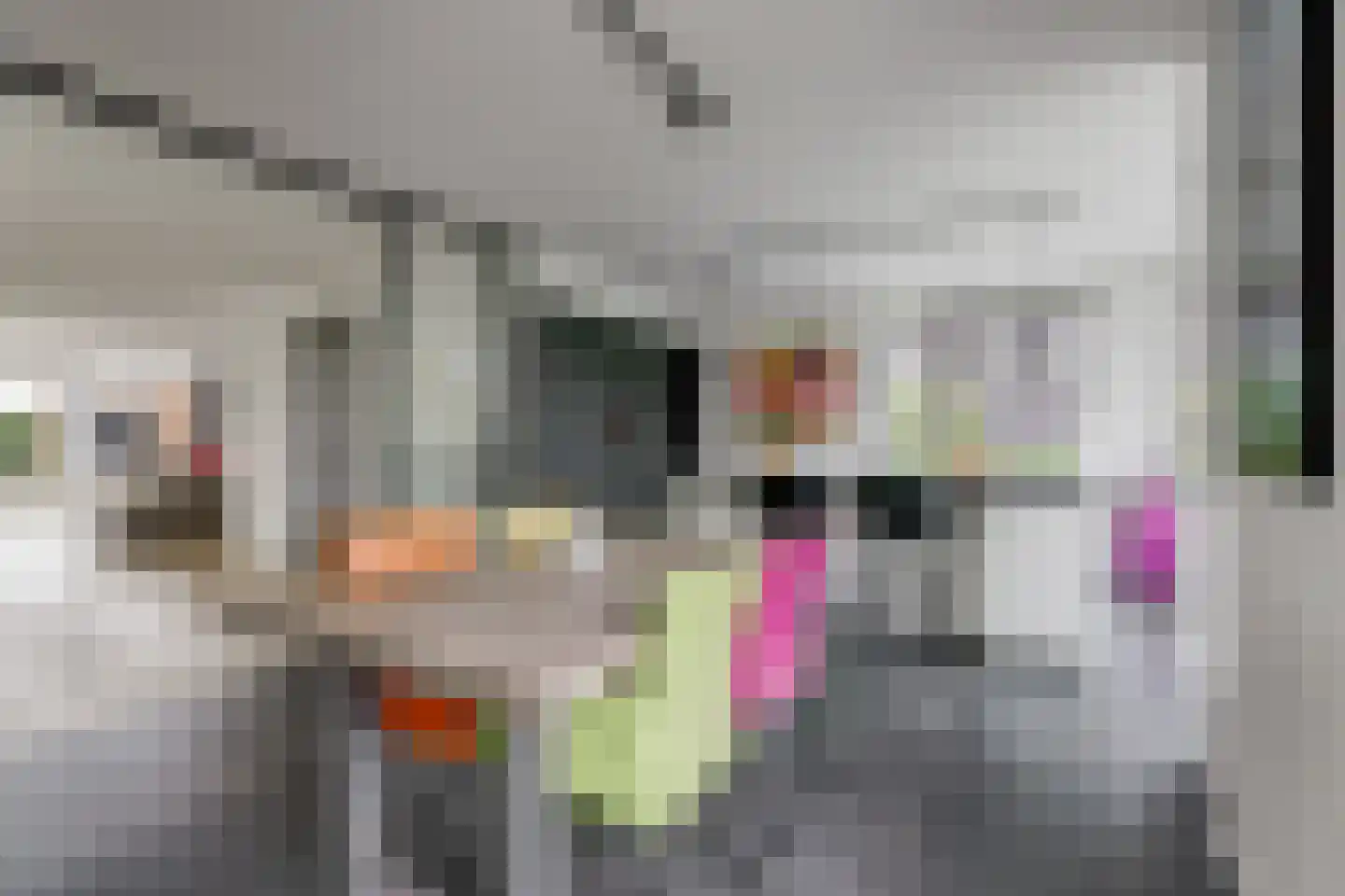 De Stijl 9 Dronten thumbnail 19