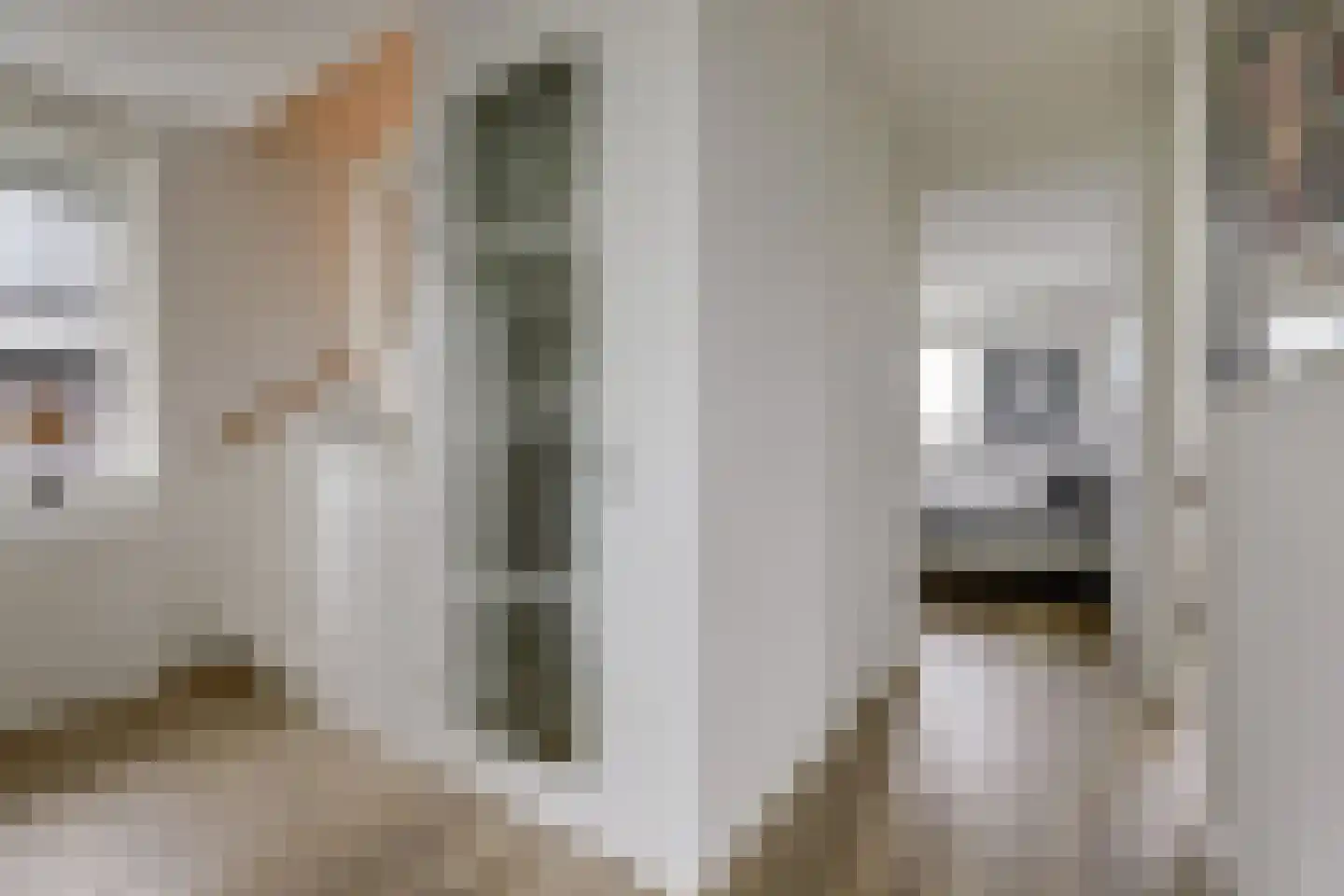De Stijl 9 Dronten thumbnail 24