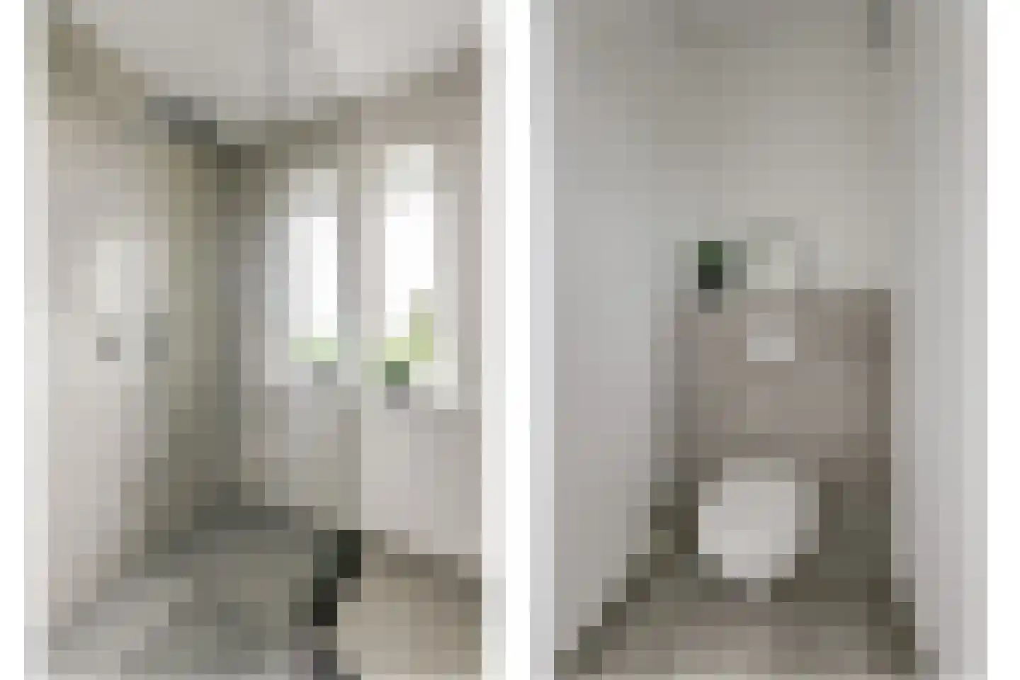 De Stijl 9 Dronten thumbnail 33