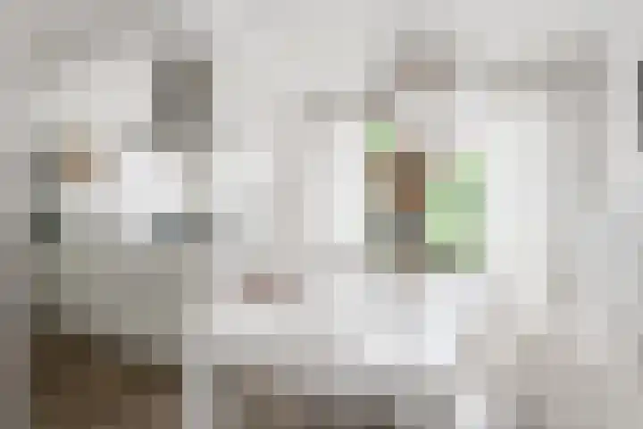 de Stip 27 Winterswijk thumbnail 12
