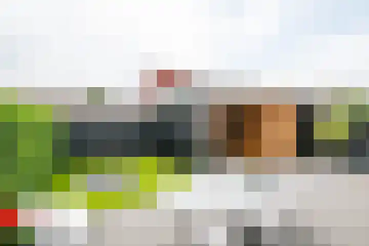 de Stip 27 Winterswijk thumbnail 41