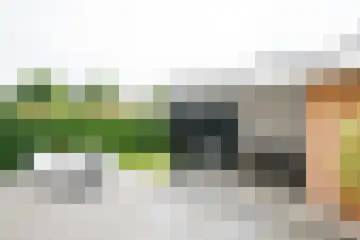 de Stip 27 Winterswijk thumbnail 42