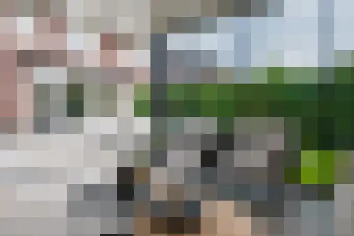 de Stip 27 Winterswijk thumbnail 46