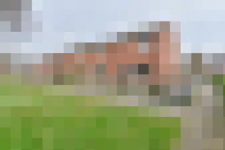 De Stobbe 60 in Nieuw-Weerdinge