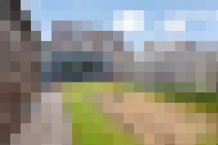 De Stoeke 19 Wolvega thumbnail 25